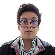 Profesor de Física/Matemáticas con experiencia en nivel universitario